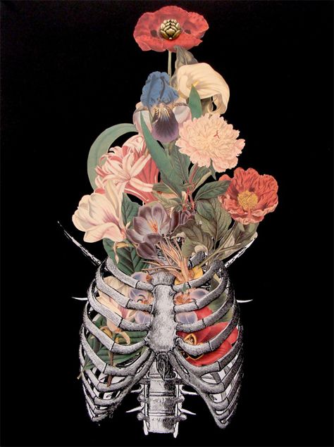 An Art That Shows What Happens When Anatomy Meets Flora And Fauna | Naldz Graphics Travis Bedel, A Skeleton, Medical Art, The Emotions, Gcse Art, Arte Inspo, Foto Art, Anatomy Art, Lock Screen Wallpaper