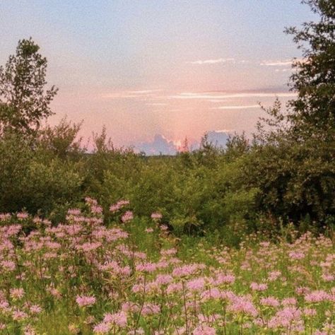 Heidi’s Cottage Girly Girl Wallpaper, Lockscreen Wallpaper Ideas, Pink Aesthetic Wallpapers, Wallpaper Iphone Lockscreen, Pink Iphone Wallpaper, Artist Hue, Iphone Lockscreen Wallpaper, Pink Aesthetic, Aesthetic Wallpapers