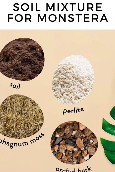 Best Soil Mixture For Monstera Monstera Potting Soil, Monstera Soil Recipe, Monstera Potting Mix Recipe, Soil Mix For Indoor Plants, Best Soil Mixture For Indoor Plants, Best Indoor Plant Soil Mixture, Monstera Soil, Soil Mix For Monstera Deliciosa, Rainforest Floor