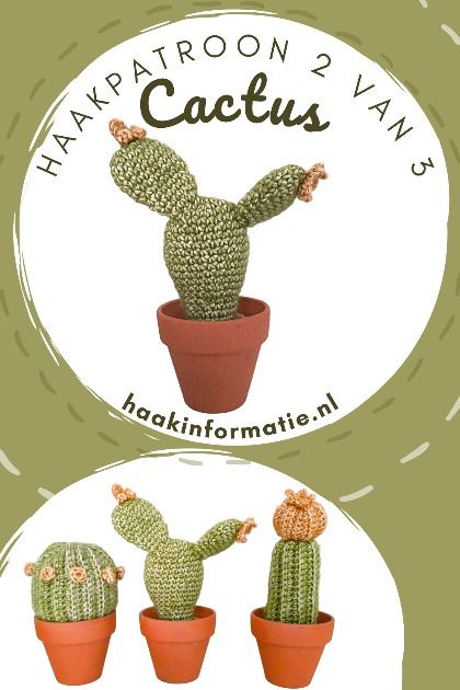 Amigurumi Collection, Crochet Succulent, Slip Stitch Crochet, Crochet Flowers Free Pattern, Crochet Cactus, Crochet Plant, Single Crochet Stitch, Basic Crochet Stitches, Diy Crochet Projects