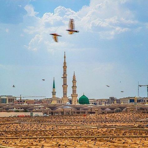 Gumbade Khazra Images, Madina Shayari, Masjid Nabwi, Masjid Haram, Islamic Dps, Madina Shareef, Al Masjid An Nabawi, Hadees Mubarak, Masjid Nabawi