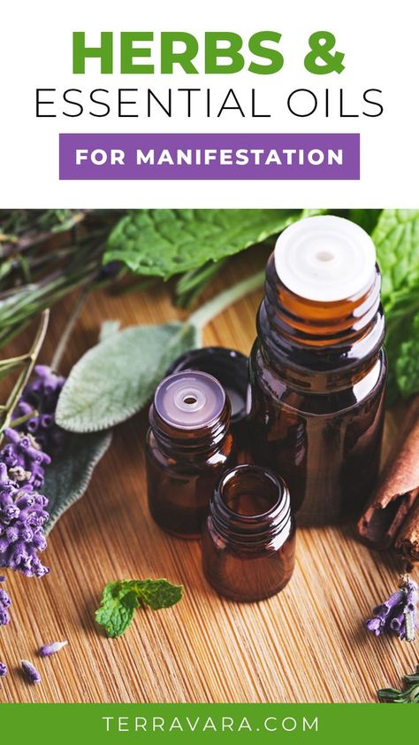 Herbs and essential oils for manifestation. Herbs For Manifesting, Manifestation Herbs, Herbs For Manifestation, Essential Oils Beginners Guide, Spiritual Oils, Magical Oils, Magick Oil, Jar Spells, Learning Languages Tips