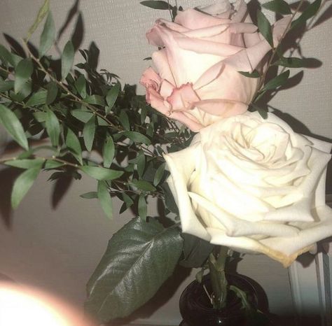 Rosé Icons Aesthetic, Iphone Wallpaper Bts, Aesthetic Roses, Dark Green Aesthetic, Flower Icons, Nothing But Flowers, Looking Out The Window, Simple Aesthetic, Rose Icon