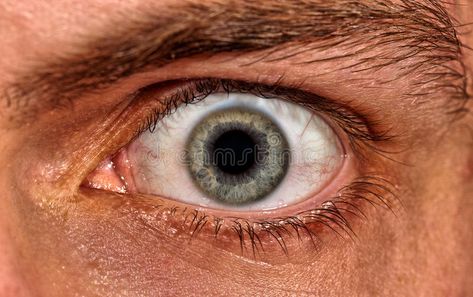 Scared Man, Eye Close Up, Male Eyes, Human Eye, Illustration Character Design, Model Release, Eye Drawing, Drawing Tips, View Image