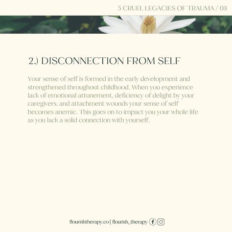 5 Cruel Legacies of Trauma: (Some of many) 1.) Powerlessness 2.) Disconnection from self 3.) Disconnection from others 4.) Disconnection from goodness 5.) Difficulty living in the body 🌿Lauren + Luke @flourish_therapy . . . . #cptsd #traumasurvivor #brainretraining #rewireyourbrain #mindbodyhealing #ifstherapy #chronicillnessawareness #healingjourney #somaticexperiencing #polyvagaltheory #DNRS #mindbodyhealing #traumatherapy #rewirethebrain #itstimetoheal #selfhealers #chronicpainrelief #t... Chronic Pain Relief, Healing Journey, Caregiver, Mind Body, The Body, Healing, Quick Saves