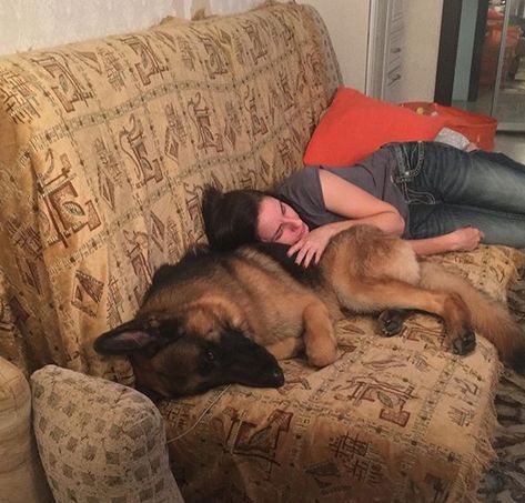 14 Reasons Why You Should Never Own German Shepherds | Page 4 of 5 | PetPress German Shepherd Cuddles, Shaved German Shepherd, African Face Paint, Adopt A Puppy, German Shepherd Photos, Dream Future, Dream Dog, Shepherd Dogs, Puppy Adoption