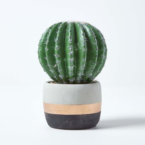 Add a natural look to your interiors with Homescapes’ faux Echinocactus Gusonii plant. Comes inside a decorative metallic cement planter. Round Artificial Cactus Ideal for bedrooms, living rooms and workspaces, Homescapes’ artificial Echinocactus Gusonii plant will add natural style. This round cactus is set inside an on-trend planter that features black, white and metallic made from cement. With white spikes for a realistic look, this cactus is ideal for desks, shelves or side tables. Large Fau White Spikes, Round Cactus, Place Aesthetic, Artificial Cactus, Faux Cactus, Plant Study, Modern Desert, Surat Thani, Artificial Potted Plants