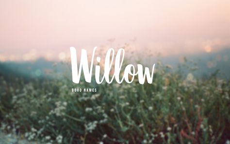 Willow | Baby Name | Character Name | Boho Name Willow Name Aesthetic, Skye Name Meaning, Willow Name Meaning, Willow Name, Nature Names, Unique Girl Names, Cool Baby Names, Baby Name List