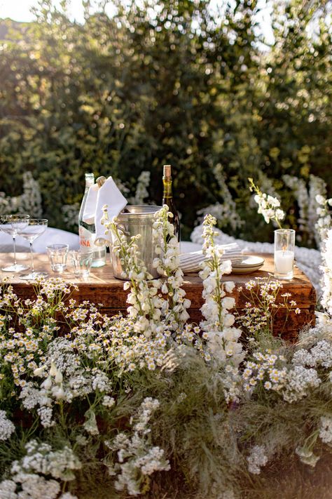 Wedding by San Francisco Destination Event Planner Jesse Tombs with Studio Mondine Sarah Falugo photography — jesse tombs European Summer Wedding, Jesse Tombs, Inverness California, Jasmine Rae, Studio Mondine, Garden Soiree, Sacred Union, Events Ideas, Flower Installation