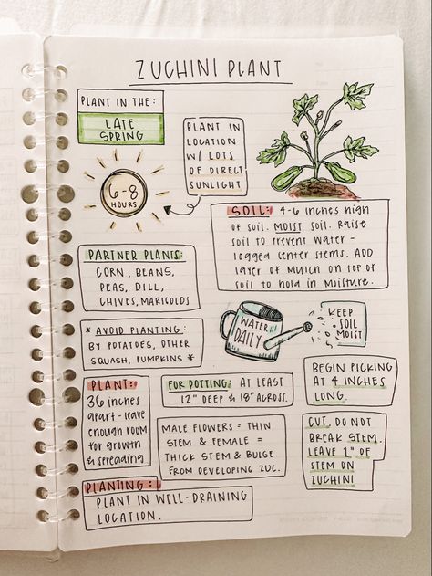 Garden Notebook Ideas, Bujo Garden Planning, Plant Notes Aesthetic, Plant Notebook Ideas, Garden Journal Ideas Inspiration, Gardening Journal Ideas, Plant Journal Ideas, Vegetable Garden Journal, Garden Journal Ideas