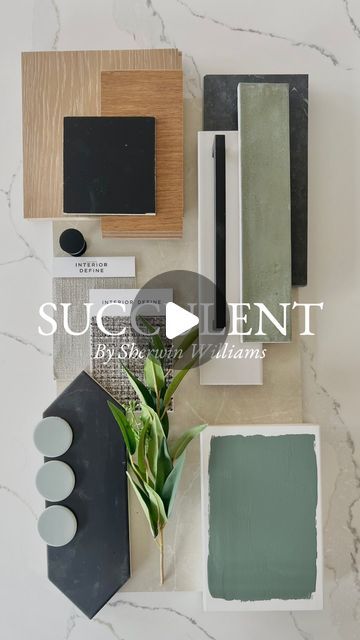 Tara Nelson on Instagram: "Succulent by Sherwin Williams 💚  Truly the most gorgeous green! Succulent by @sherwinwilliams is the perfect way to make a colorful statement. This beautiful shade of green is ideal for cabinets, doors, trim, feature walls and so much more!   Tile Seen Here:  Sterlina II 24x24 matte concrete tiles in White by @emsertile  Makoto 2.5” x 10” Matte Ceramic Wall Tile in Midori Green tile from @bedrosianstile  Makoto 2” Round Matte Porcelain Mosaic Tile in Midori Green from @bedrosianstile  Russell Black 4 in. x 12 in. Matte Porcelain Picket Floor and Wall Tile (10.76 sq. ft./Case) from @homedepot  Absolute Black 3” x 12” Honed Granite Tile from @bedrosianstile  Cabinetry Colors Seen Here: Tricorn Black by @sherwilliams in Satin   Fabrics Samples Seen Here: All sample Succulent By Sherwin Williams, Sherwin Williams Succulent Cabinets, Sherwin Williams Succulent Green, Green Picket Tile, Succulent Sherwin Williams, Cabinetry Colors, Tricorn Black, Honed Granite, Cabinets Doors