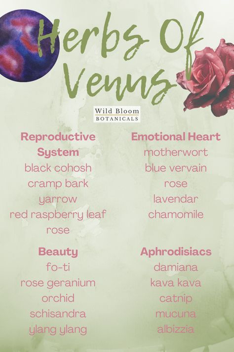 Herbs For Glamour Magic, Fertility Herbs Witchcraft, Witchcraft Correspondences, Zodiac Herbs, Plant Correspondences, Affection Aesthetic, Herbal Astrology, Love Herbs, Calming Herbs