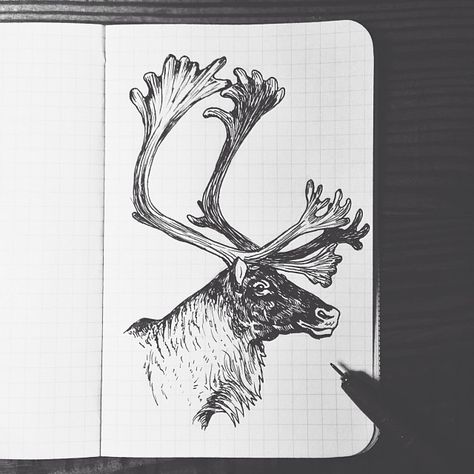 steelbison:  First attempt at a caribou. #FieldNotes #art #caribou Elk Sketch, Elk Drawing, Elk Tattoo, Pyrography Designs, Deer Drawing, Stippling Art, Deer Illustration, Animal Artwork, Glass Engraving