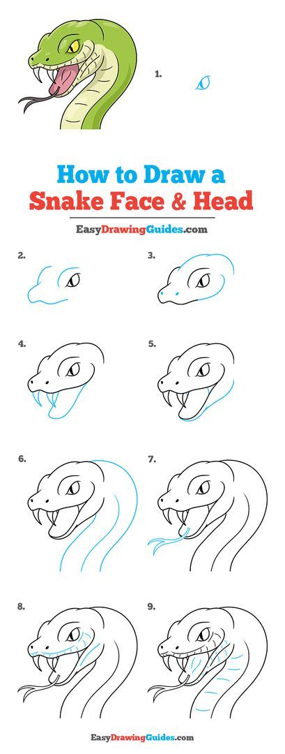 Snake Tutorial Drawing, Snake Drawing Tutorial Step By Step, Snake Head Tutorial, Face And Head Drawing, How To Draw Medusa Step By Step, How To Draw A Snake Head, Snake Drawing Sketches Easy, Drawing Snakes Tutorial, Draw Snake Easy