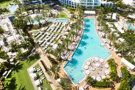 Fountainbleu Miami, Circular Pool, Miami Pool, Fontainebleau Miami Beach, Fontainebleau Miami, Miami Beach Hotels, Miami Hotels, Cool Swimming Pools, Best Vacation Spots