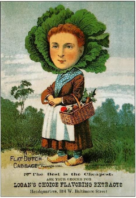 Plant People Cabbage p Vegetable People, Victorian Advertising, John Kenn, Seed Art, Cabbage Head, Vintage Seed Packets, Seed Packaging, Seed Catalogs, Trade Cards