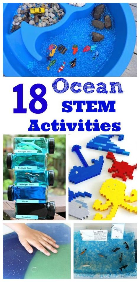 Love these ocean science & math activities for kids!  Great for learning about sharks, whales, ocean zones and more. Stem Water Activities, Whale Activities For Kindergarten, Ocean Stem Activities, Science Math Activities, Ocean Themed Activities, Ocean Science Activities, Ocean Slime, Themed Activities For Kids, Ocean Zones