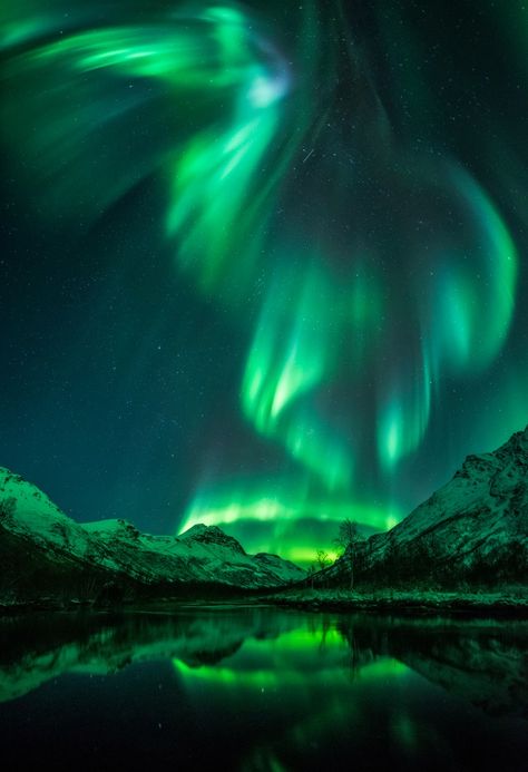 Insight Astronomy Photographer of the Year 2016 shortlist | Cosmos Astronomy Photography, Northern Lights (aurora Borealis), Aurora Borealis Northern Lights, The Northern Lights, The Aurora, The Night Sky, Natural Phenomena, Beautiful Sky, Aurora Borealis