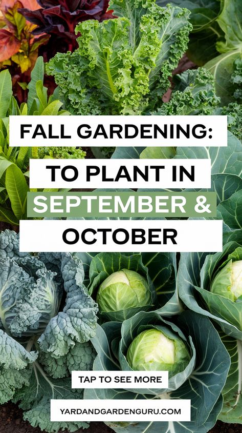 Get ready for a bountiful fall garden! September and October are perfect for planting leafy greens like kale and spinach, which thrive in cooler temperatures.   Did you know that light frost can enhance the sweetness of brassicas like broccoli and cauliflower?   Quick-maturing crops such as radishes and turnips can be harvested in just weeks. You can enjoy fresh veggies throughout the fall with proper soil preparation and consistent moisture. Vegetables To Plant In September, Fall Vegetable Garden, Homegrown Vegetables, Vegetables To Plant, Vegetables For Babies, Winter Veggies, Fall Gardening, Home Grown Vegetables, Fall Vegetables