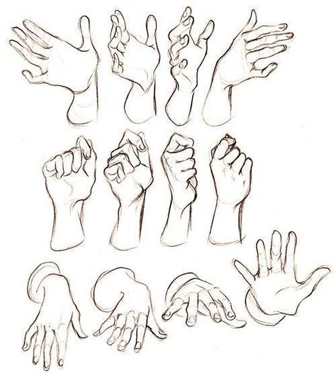 Hand Reference Front View, Closed Fist Reference, Hand Gripping Reference, Hand On Cheek Reference, Drawing Hands, Hand Gestures, Hand Drawing Reference, Anatomy Sketches, Hand Reference