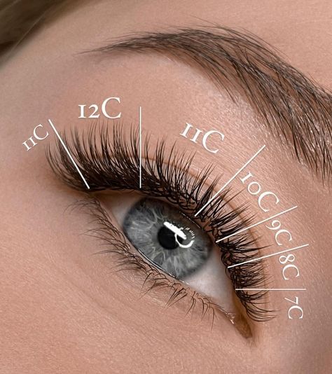 LashView Eyelashes on Instagram: “Wet look lashes💧 Save the map ✨ From: @elena.benabe 💭 SHOP: https://lashviewbeauty.com/ 👉Click the link in my bio to purchase 👈Follow…” Natural Eyelash Mapping, 1d Lashes, Half Set Eyelash Extensions, Types Of Eyelash Extensions, Natural Fake Eyelashes, Lash Extentions, Lashes Fake Eyelashes, Eyelash Tips, Eyelash Technician