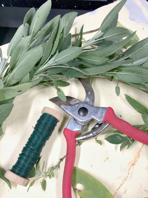 Dried Sage Wreath, Sage Gift Ideas, Sage Wreath Diy, Harvesting Sage, Sage Crafts, Mini Wreath Diy, Sage Wreath, Diy Swag, Herb Growing