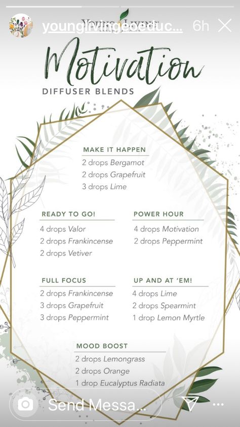 Yl Diffuser Blends, Young Living Essential Oil Diffuser, Magick Oil, Orange Eucalyptus, Essential Oils Focus, Eo Blends, Eucalyptus Radiata, Essential Oil Perfumes Recipes, Doterra Oil