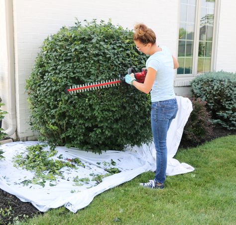 Hedge Trimming Ideas, Live Topiary, Hedge Trimming, How To Trim Bushes, Trimming Hedges, Luxury Landscaping, Topiary Garden, Cottage Shabby Chic, Lawn And Landscape