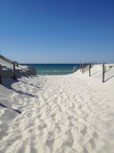 Cape Cod Beaches, I Love The Beach, Beach Living, Beach Time, Beach Scenes, White Sand, Sandy Beaches, Ocean Beach, Cape Cod