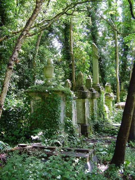 Circus Creepy, Highgate Cemetery London, Family Cemetery, Old Cemetery, Cemeteries Photography, Gorgeous Pics, Highgate Cemetery, Abandoned Churches, Growth And Decay