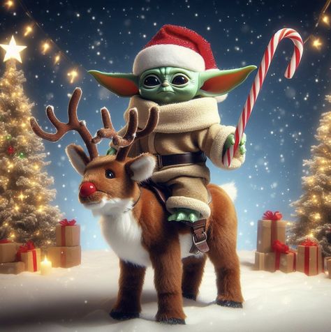 Yoda Pictures, Winter Humor, December Pictures, Yoda Images, Yoda Funny, Christmas Wallpaper Backgrounds, Grumpy Cat Humor, Cartoon Character Pictures, Disney Lion King