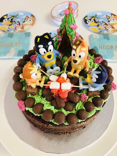 Bluey Bingo Birthday Cakes, Blurt Birthday Cake, Bluey Camping Cake, Bluey Camping Party, Blue And Bingo Cake, Chocolate Bluey Cake, Bluey Cake Pool, Bluey Cake Ideas Smash Cake, Bluey Smash Cake For Girl