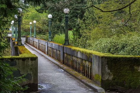 Wilcox Footbridge in Seattle's Washington Park Arboretum - bridges are an important place in our relationship University Of Washington Seattle, Washington Seattle, Lake Washington, Washington Park, Pacific Nw, San Juan Islands, Our Relationship, University Of Washington, Emerald City