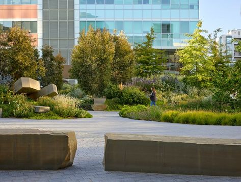 Wandering Through Uber HQ's Secret Garden - Metropolis Moderne Have, Shop Architects, Linear Park, Healing Garden, Green Street, Rain Garden, Urban Spaces, Contemporary Landscape, Landscape Architect