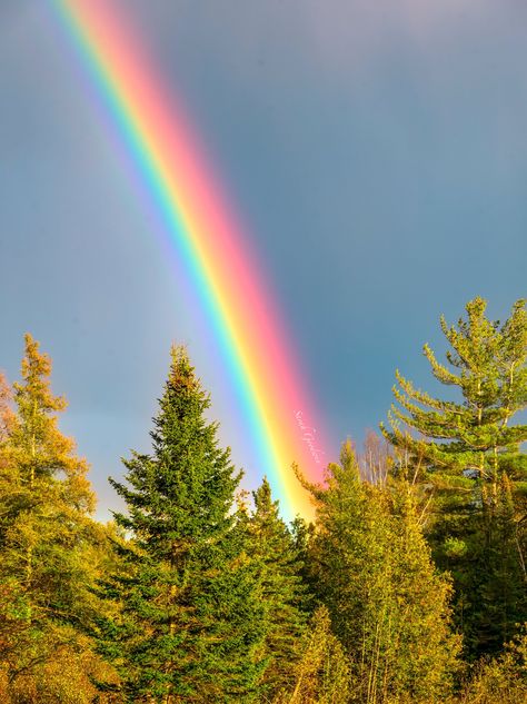 Every road trip to Michigan's Upper Peninsula always involves plenty of fun stops along the way to capture and enjoy the many splendorous scenes! And this particular trip included (many!) rainbows that graced the skies! The skies on this day were super dramatic....pouring rain one minute...sunshine the next...raining cats and dogs...sun through the clouds...repeat! And those kind of conditions are of course, the perfect recipe for rainbow sightings! As we were making our drive west I had comment Rainbow Poem, Fall Wall Print, Sky Rainbow, Michigan Photography, Rainbow Pictures, Rainbow Photography, Sun Dogs, Beautiful Scenery Photography, Rainbow Falls