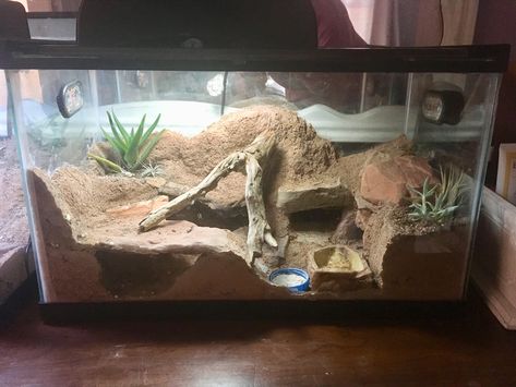 Desert Snake Enclosure, Naturalistic Leopard Gecko Terrarium, Desert Reptile Terrarium Ideas, Bioactive Desert Terrarium, Desert Terrarium Reptile, Desert Enclosure, Arid Vivarium, Desert Terrarium Ideas, Cave Terrarium