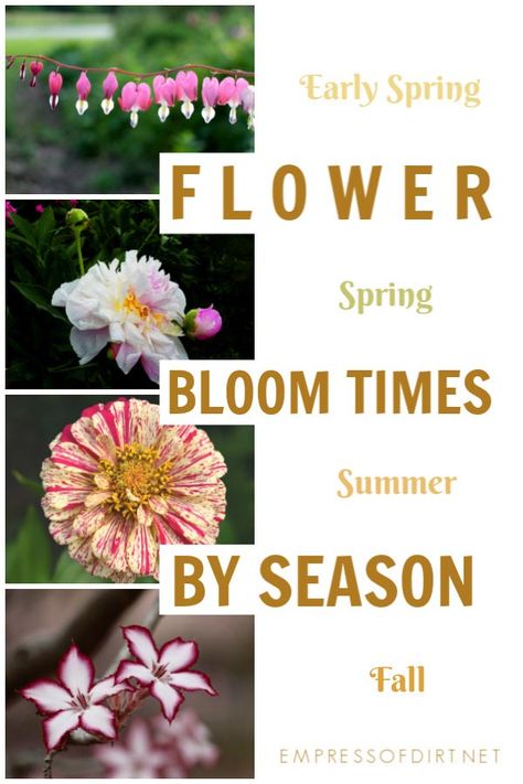 Grab this list of flower bloom times through the seasons to plan your garden from spring to fall. #flowergardening #calendar #empressofdirt Winter Blooming Flowers, Tropical Gardening, Growing Calendar, Diy Bricks, Aesthetic Gardening, Pallet Gardening, Kitchen Gardening, Flower Calendar, Gardening Aesthetic