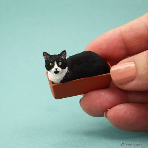 Kerri Pajutee (@pajutee_miniatures) • Fotos e vídeos do Instagram Miniature Sculpture Ideas, Clay Alpaca, Cat Clay Sculpture, Cats Aesthetic Wallpaper, Cat Clay, Cats Anime, Polymer Clay Cat, Clay Cat, 10 Interesting Facts