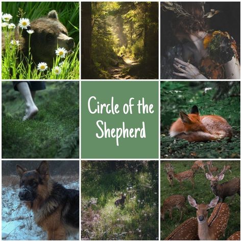 commune with spirits, especially those of beasts, all living things play a role, protect animals and fae Circle Of The Land Druid, Circle Of Shepherd Druid, Circle Of The Shepherd Druid, Druid Aesthetic Dnd, Dnd Druid, Fantasy Aesthetics, Roll Play, Elf Druid, Dnd Classes