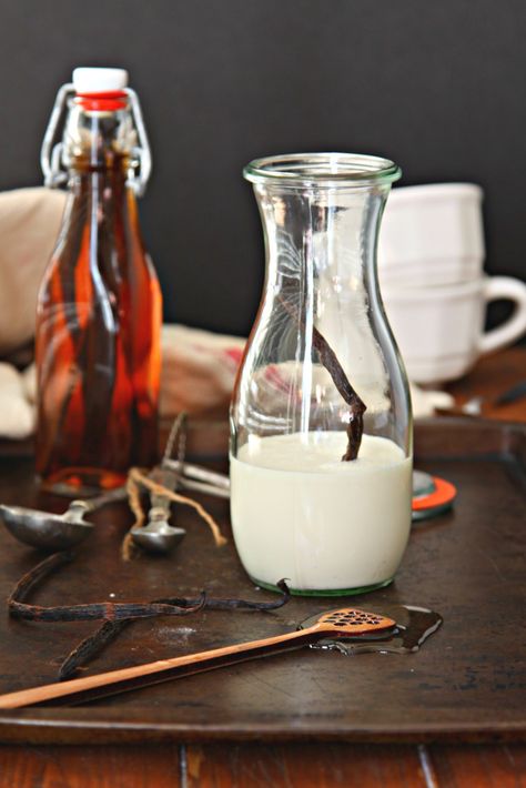 Homemade Vanilla Bean Coffee Creamer - bell' alimento Homemade Vanilla Creamer, Vanilla Bean Coffee, Vanilla Bean Recipes, Healthy Coffee Creamer, Vanilla Coffee Creamer, Homemade Coffee Creamer, Coffee Creamer Recipe, Creamer Recipe, Coffee Mate