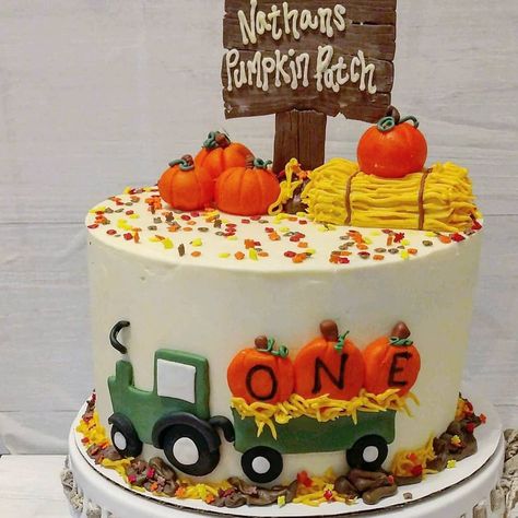 First Birthday Cake Fall Theme, Pumpkin Birthday Sheet Cake, Fall Birthday Cake Decorating Ideas, Fall 1st Birthday Cake, Cake With Pumpkin Decoration, First Birthday Cake Pumpkin Theme, One Little Pumpkin Birthday Boy, First Birthday Pumpkin Cake, Pumpkin Themed Birthday Cake