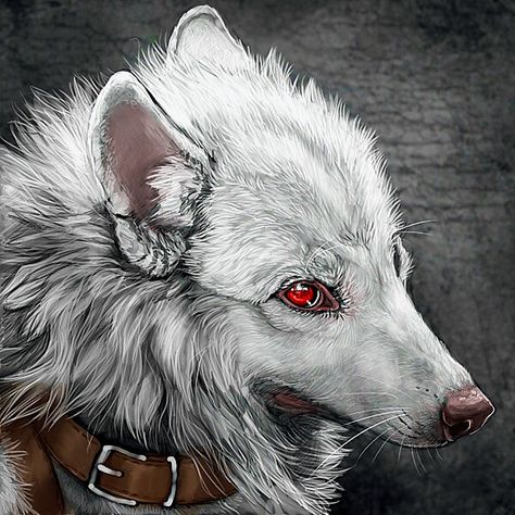 Albino Wolf, Wolf With Blue Eyes, Dog Illustration Art, 4 Horsemen, Wolf Colors, Dog Illustrations, Fantasy Animals, Art Trade, Red Eye