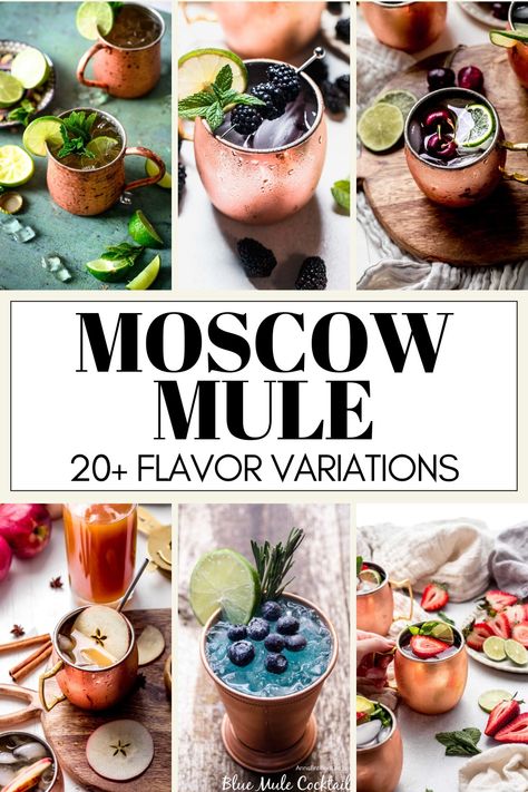 Here are 20 Moscow Mule variations for you to try when you want a twist on the classic Moscow Mule cocktail. // moscow mule recipe // moscow mule cocktail // moscow mule variations #moscowmule #mulecocktail Vodka Mule Recipe, Mule Cocktail Recipes, Easy Moscow Mule Recipe, Mule Variations, Moscow Mule Variations, Moscow Mule Recipe Classic, Cocktail Moscow Mule, Moscow Mule Recipes, Best Moscow Mule