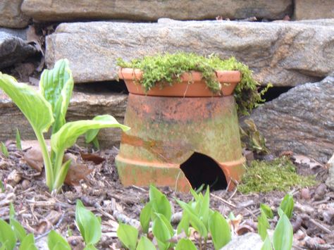 How To Make A Toad House Toad Abode, Garden Habitat, Frog Habitat, Small Homestead, Allotment Ideas, Bug House, Toad Frog, Toad House, Frog House