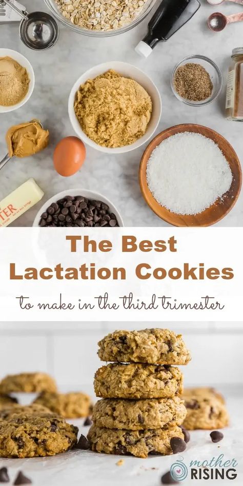 Best Lactation Cookies, Lactation Cookies Recipe, Breastfeeding Snacks, Cookies To Make, Healthy Nutrition Plan, Breastfeeding Foods, Lactation Recipes, Lactation Cookies, Brewers Yeast