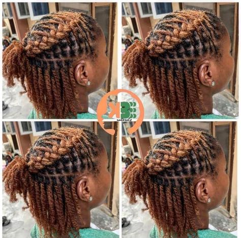 Tips For Black Women, Loc Colors, Short Black Natural Hairstyles, Dreadlocks Hair Care, Hair And Skin Vitamins, Short Dreadlocks Styles, Skin Vitamins, Mane Hair, Sisterlocks Styles