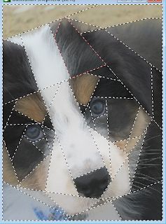 Animal Paper Piecing Patterns, Fpp Patterns Free, New Quilt Patterns, Basic Quilting, Simple Quilting, Pixel Quilting, Quilting Software, Dog Outline, Paper Pieced Quilt Patterns