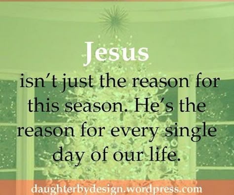 Jesus isn't just the reason for the season.  He's the reason for every single day of our life. Christmas Quotes Jesus, Reason Quotes, Celebrate Jesus, Christian Holidays, Sunday Quotes, True Meaning Of Christmas, Faith Inspiration, Jesus Is Lord, Celebrate Christmas