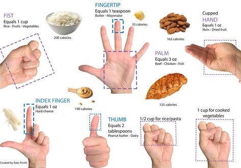 Portion Size Guide — Energy Balance Nutrition Consulting (EBNC) Healthy Meal Portions, Portion Size Guide, Food Portion Sizes, Recipes Using Rotisserie Chicken, Nutrition Activities, Improve Nutrition, Nutrition Consultant, Energy Balance, Portion Sizes