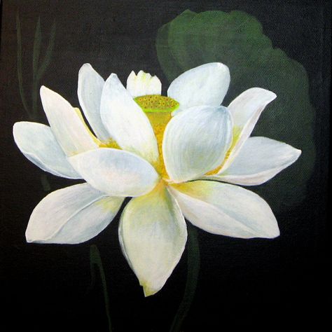 White Lotus Painting Acrylic, White Lotus Painting, Lotus Painting Acrylic, Lotus Flower Painting, Lotus Painting, Lotus Blossom, White Lotus, The Subject, Drawing Lessons